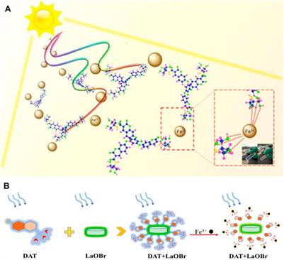 Recent Progress in Fluorescent Probes For Metal Ion Detection